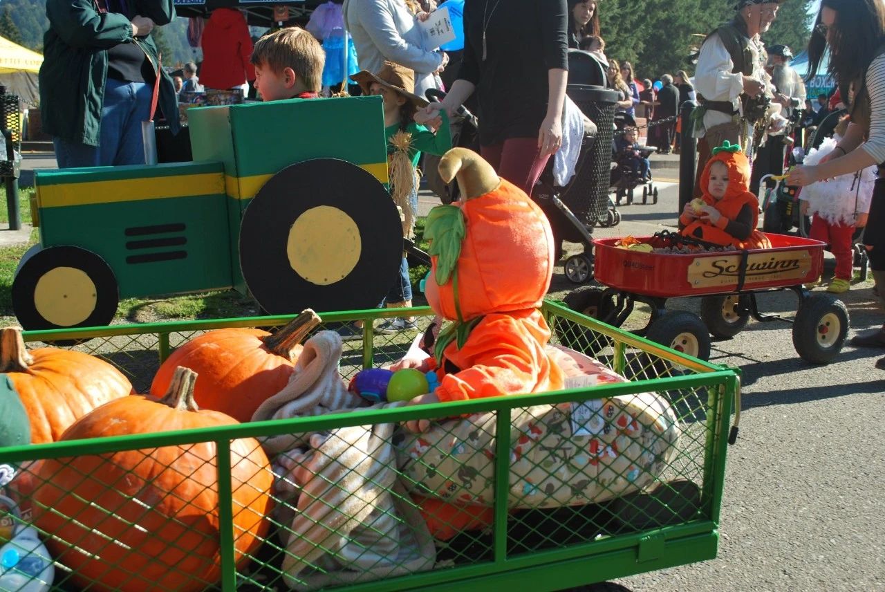 西雅图周末不无聊在这专属于南瓜的季节，一起来Orting Pumpkin Fest看一看叭! Redian News