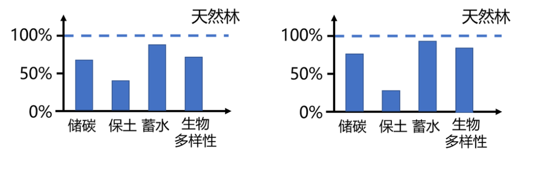 中国拥有世界上最大面积的人工林 但动物变多了吗 Redian新闻